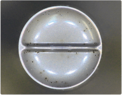 PM2205-30-Photo PM2205-30-Photo