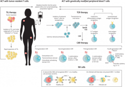 PM2203-24-Chart PM2203-24-Chart