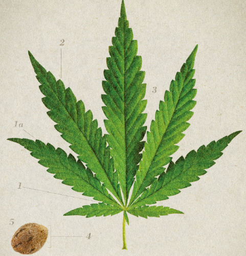 1660243356219 Screenshot20190620at11