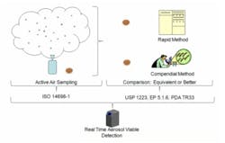 rapid_fig4 rapid_fig4