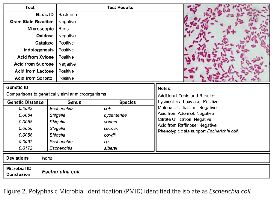 1660254324552 Micro Fig2