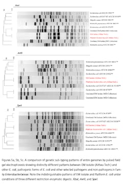 micro_fig5 micro_fig5