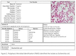 resizedimage604442-micro_fig2 resizedimage604442-micro_fig2