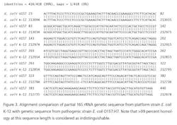 resizedimage589418-micro_fig3 resizedimage589418-micro_fig3