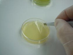 NanoLogix_edit NanoLogix_edit