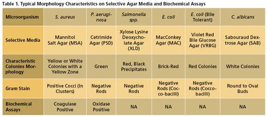 Pharmaceutical USP Regulations | USP Updates And For Microbial Testing ...