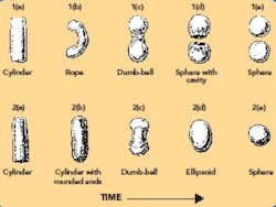 PM0705_Sphere_Figure7 PM0705_Sphere_Figure7