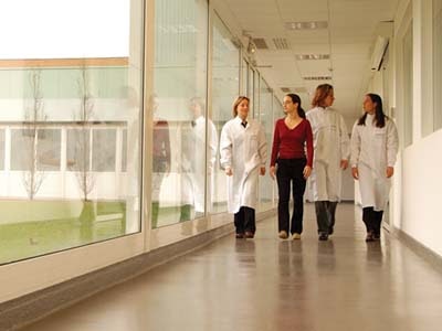 1660255240189 Sixsigma Main