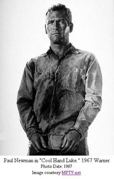 pm0609_thera-dose_cool-hand-luke pm0609_thera-dose_cool-hand-luke
