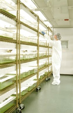 1660255419302 Pm0606 Transgenics Biolexcopy 1660255419302 Pm0606 Transgenics Biolexcopy