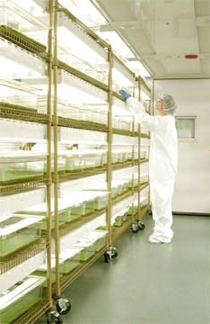 pm0606_transgenics_biolex-copy pm0606_transgenics_biolex-copy