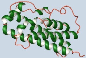 1660255489852 Humangrowthhormonedrawing 280px