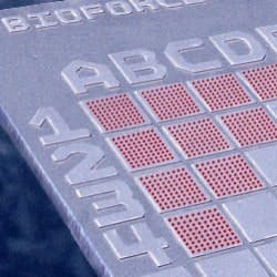 1660255531709 Pm0602 Coverstory Sindexbioforce 1660255531709 Pm0602 Coverstory Sindexbioforce