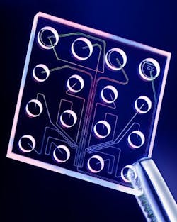 pm0602_coverstory_labchip-web pm0602_coverstory_labchip-web