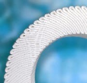 pm0511_chromatography_pall-mustang pm0511_chromatography_pall-mustang