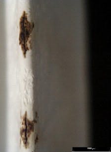 pm0509_filter_figure1web pm0509_filter_figure1web