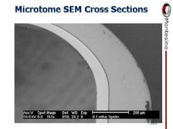 montesino_microtome_crosssec montesino_microtome_crosssec