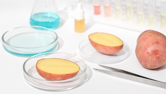 1660317253087 Shutterstock2156441753