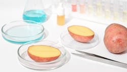 1660317253087 Shutterstock2156441753 1660317253087 Shutterstock2156441753