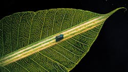 1660317287331 Awlonmya3 1660317287331 Awlonmya3