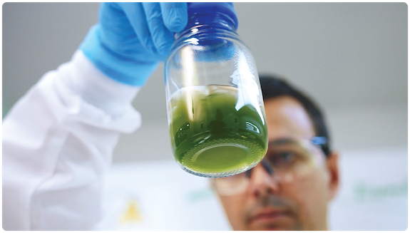 1660317421846 Provectus3