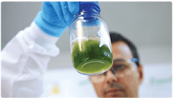 1660317421846 Provectus3 1660317421846 Provectus3