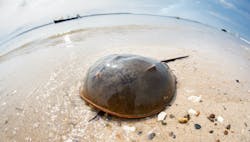 1660317489894 Shutterstock1200446074 1660317489894 Shutterstock1200446074