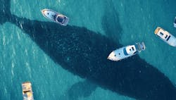 1660317498385 Pm2106hero575x327coverstory 1660317498385 Pm2106hero575x327coverstory