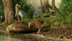 1660317531152 Shutterstock1120206911 1660317531152 Shutterstock1120206911