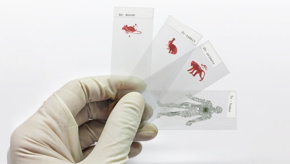 1660317534174 Pm20xxhero575x327coverstory