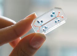 Screen-Shot-2021-05-10-at-13.19.01-AM Screen-Shot-2021-05-10-at-13.19.01-AM