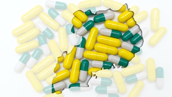 1660317573873 Shutterstock101959028