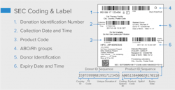 VIN-Figure-3b-SEC-label VIN-Figure-3b-SEC-label