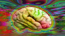 radical-new-ideas-in-pharma