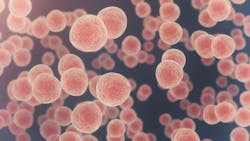 1660318271820 Shutterstock1105137761 1660318271820 Shutterstock1105137761