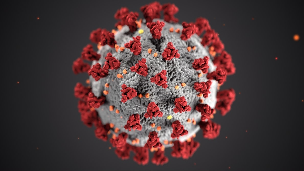 1660318306285 Coronavirus