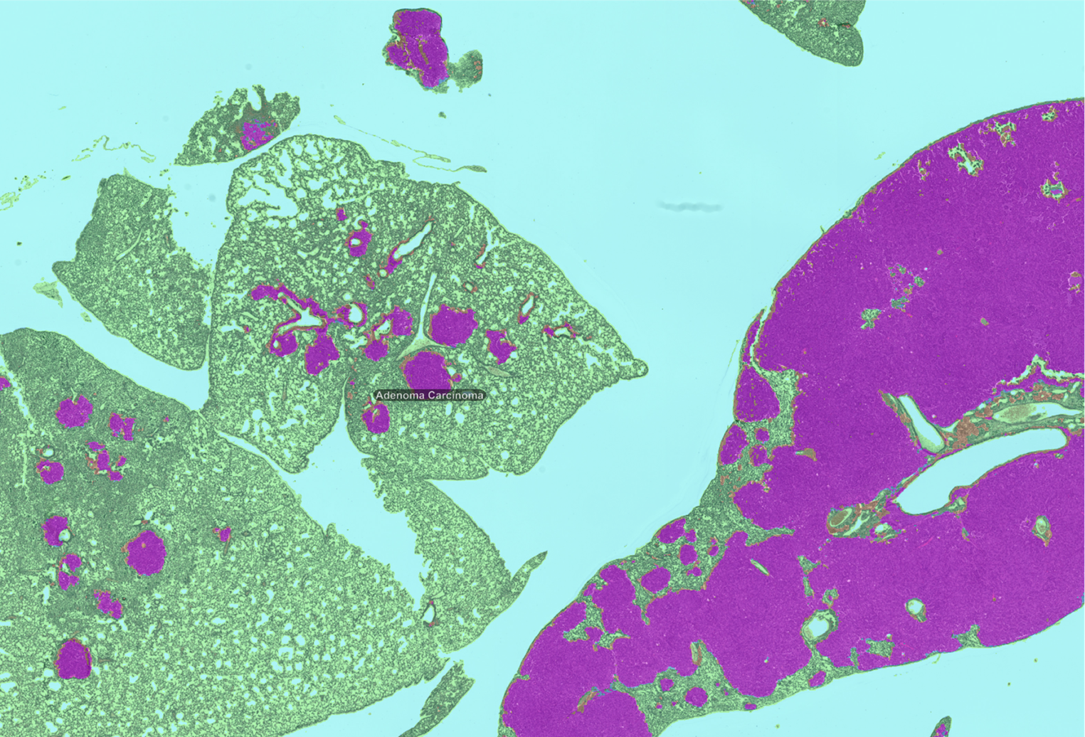 1660318309442 Figure2