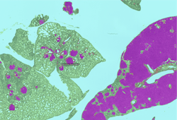 1660318309442 Figure2 1660318309442 Figure2