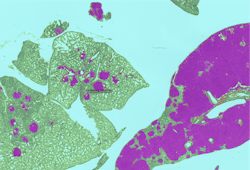 1660318309442 Figure2 1660318309442 Figure2