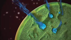 The-art-of-the-science-sb2 The-art-of-the-science-sb2