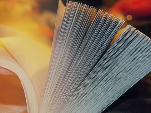 1660318651292 Documents2