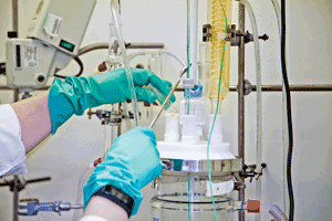 PM1804-Development-02