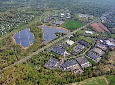 1660318753515 Pm1710plantphoto