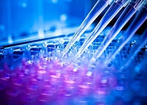 1660318780163 Pm1707quality