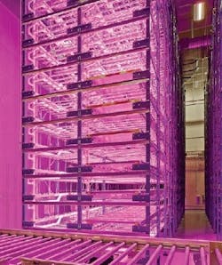 PM1610-ibio3 PM1610-ibio3