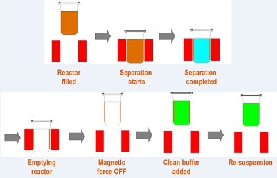 1660318942069 Pm1605biomag1