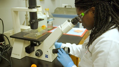 1660318996193 Knopfigure11