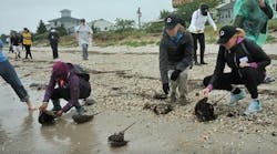 PM1511-EndotoxinFig2 PM1511-EndotoxinFig2