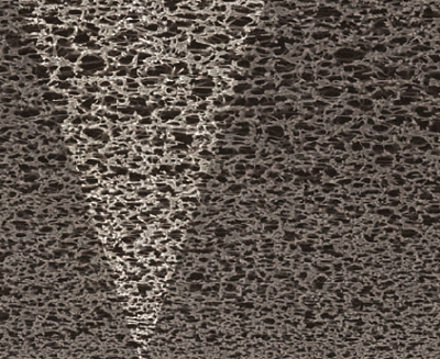 1660319034772 0826tw1