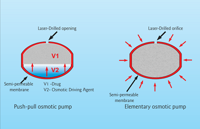 1660319079771 0617photoscribe3